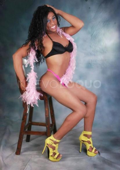  Transex mellanny