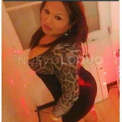 NuevoLoquo3