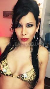 TOP LATINA XXL