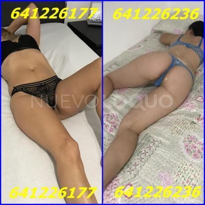 NuevoLoquo3