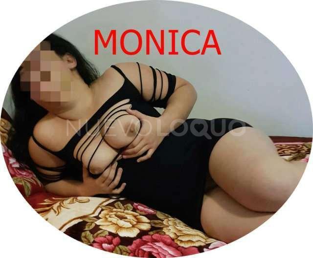 NuevoLoquo2