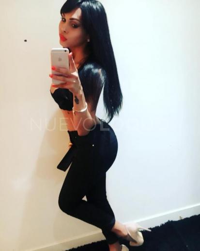 NuevoLoquo4