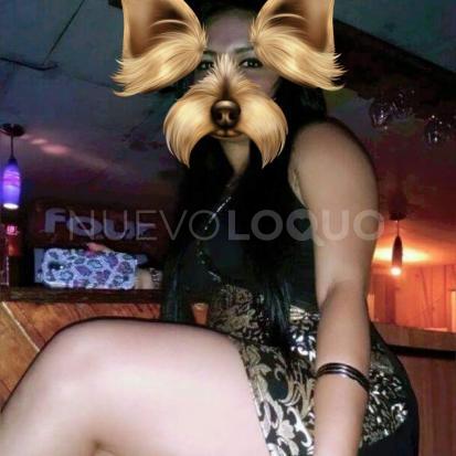 NuevoLoquo1