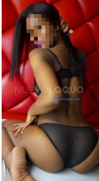 NuevoLoquo3