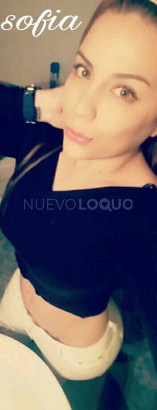 NuevoLoquo1