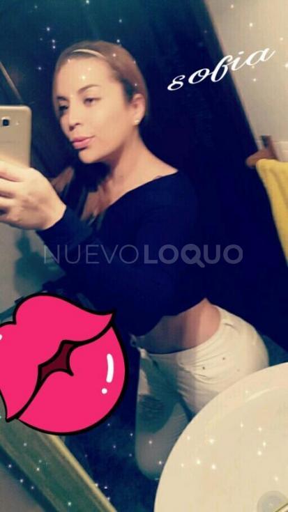 NuevoLoquo2