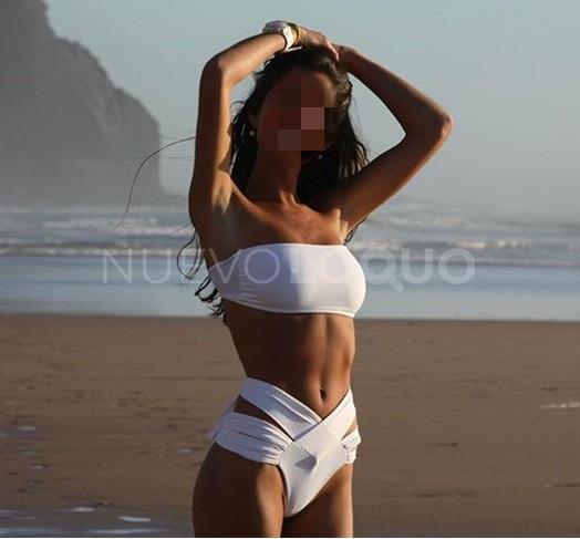 NuevoLoquo2