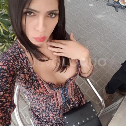 NuevoLoquo1