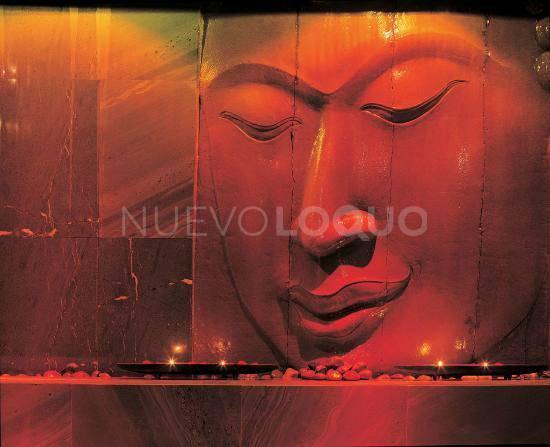 NuevoLoquo1