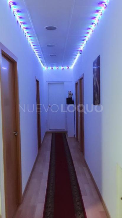 NuevoLoquo3