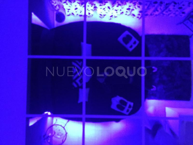 NuevoLoquo2