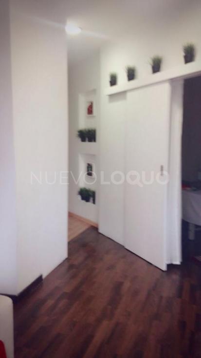 NuevoLoquo4