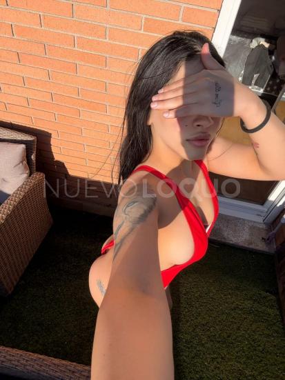NuevoLoquo3
