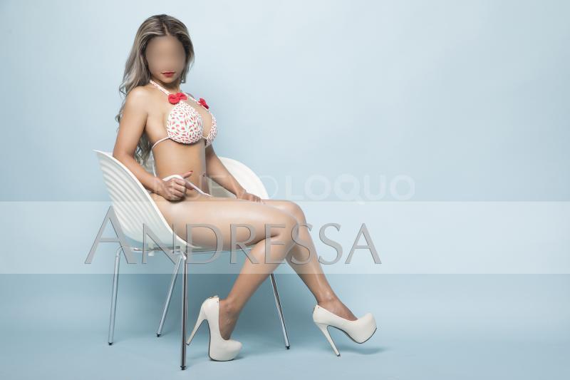 NuevoLoquo4