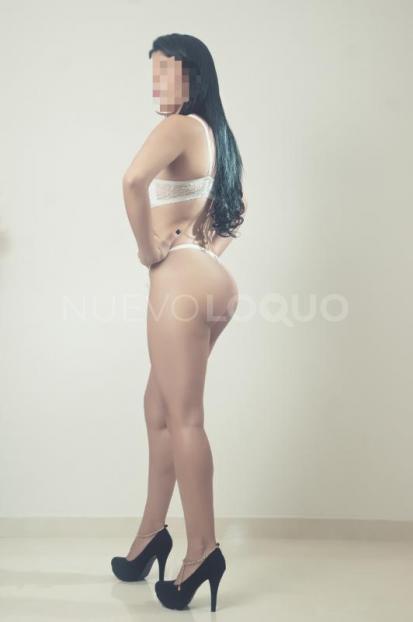 NuevoLoquo2