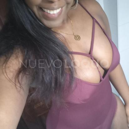 NuevoLoquo2