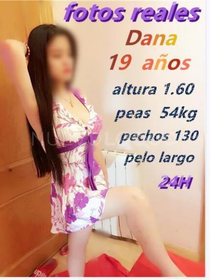 NuevoLoquo2
