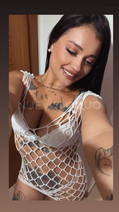 NuevoLoquo3