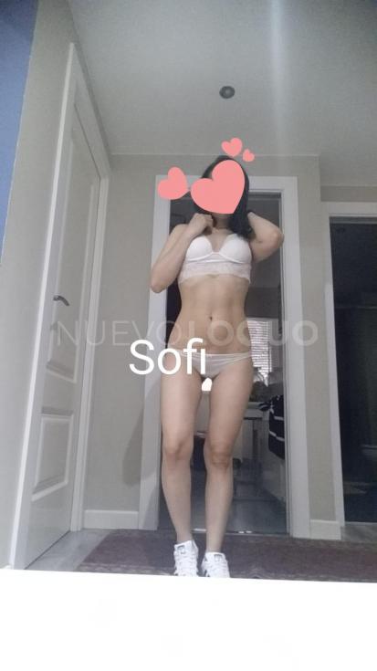 NuevoLoquo2