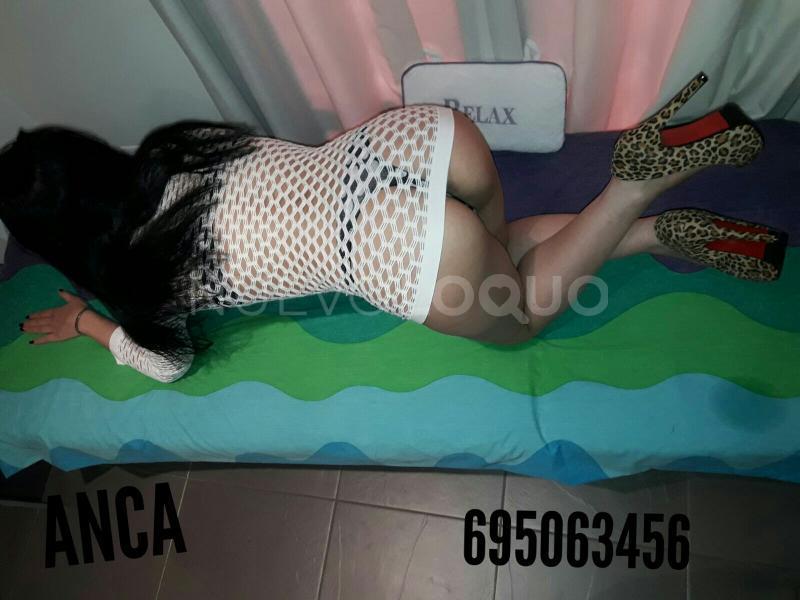 NuevoLoquo2