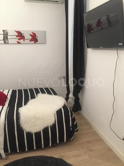 NuevoLoquo1