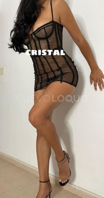 NuevoLoquo2