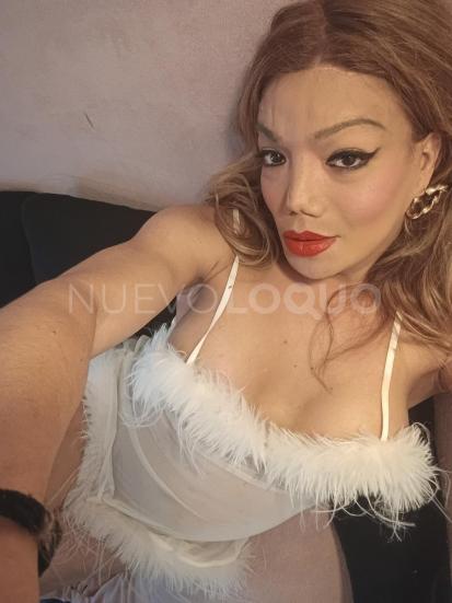NuevoLoquo2