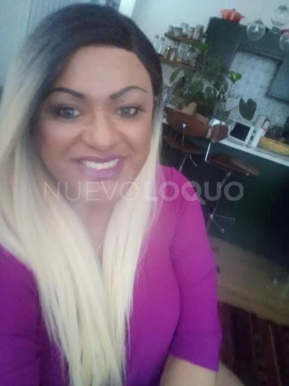 NuevoLoquo3