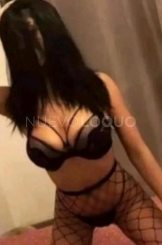 NuevoLoquo3