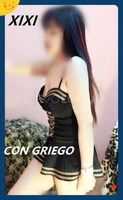 NuevoLoquo5