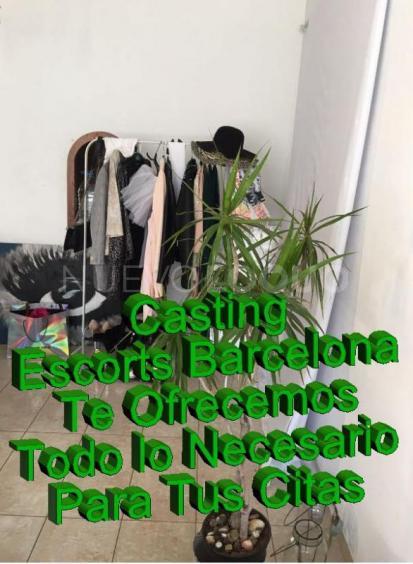 NuevoLoquo2
