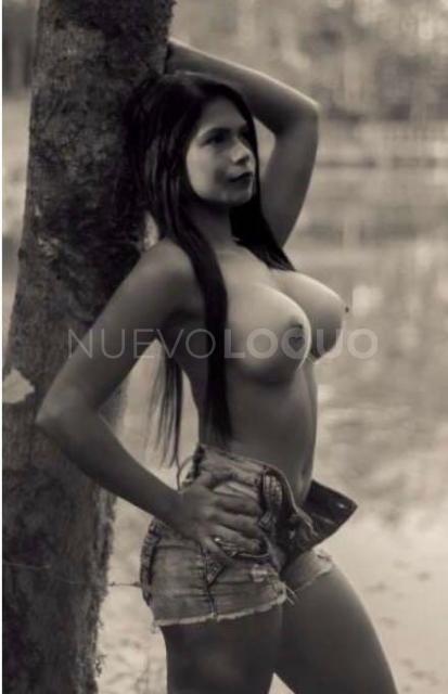 NuevoLoquo3
