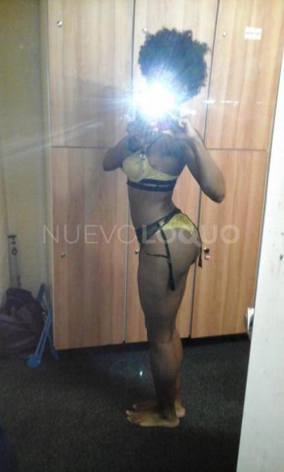 NuevoLoquo4