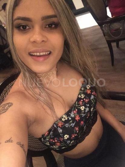 NuevoLoquo2