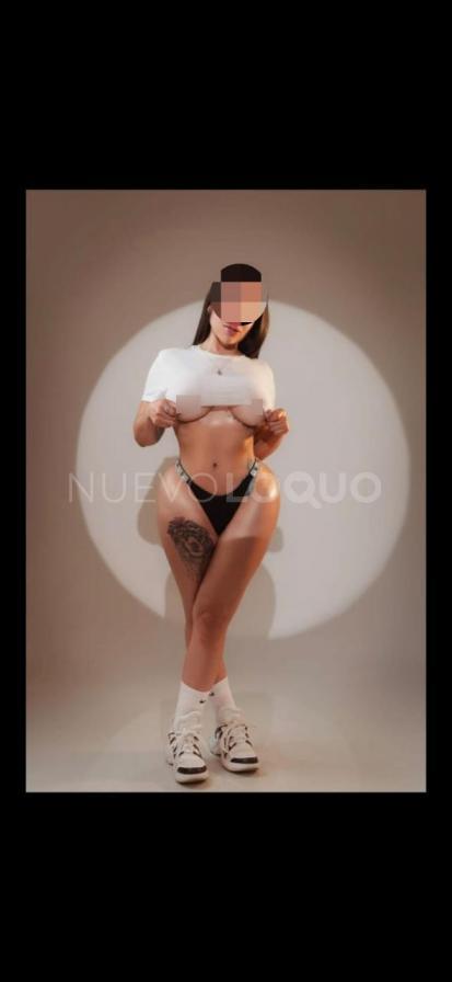NuevoLoquo3