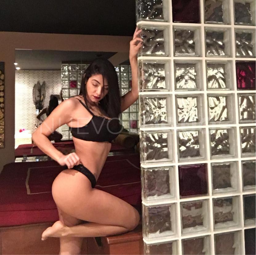 NuevoLoquo1