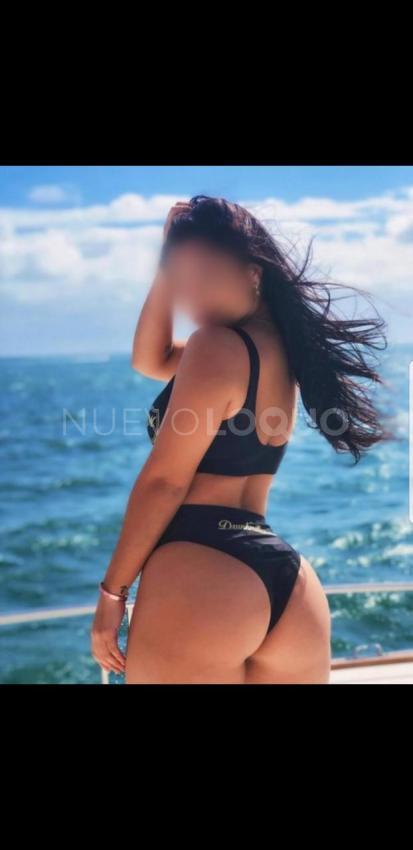 NuevoLoquo1