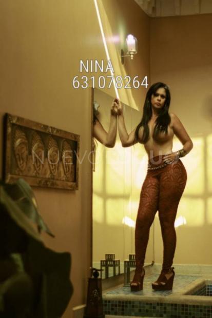 NuevoLoquo1