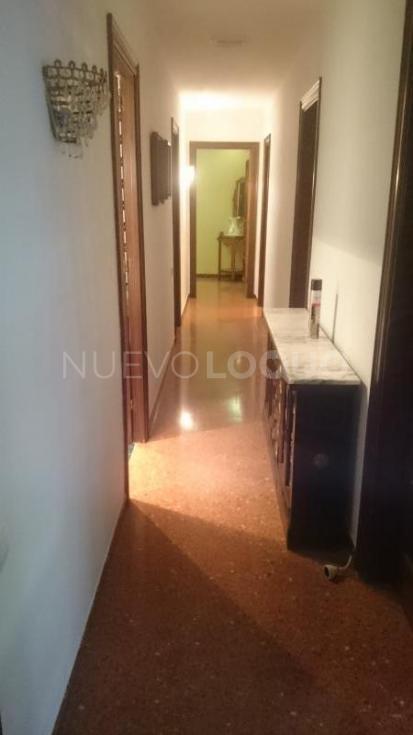 NuevoLoquo3