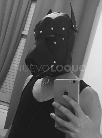 NuevoLoquo1