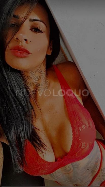 NuevoLoquo3