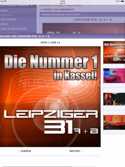 NuevoLoquo2