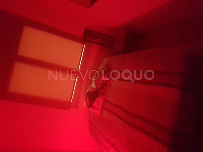 NuevoLoquo2