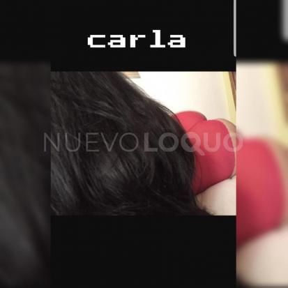 NuevoLoquo2