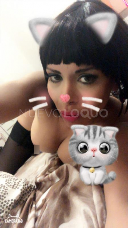 NuevoLoquo1