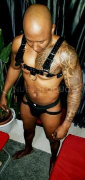 Novedades brayan latino