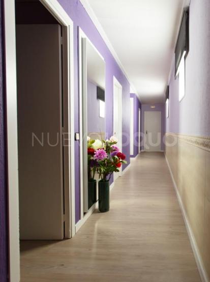 NuevoLoquo3