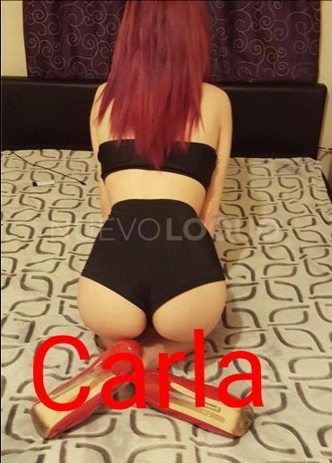 NuevoLoquo1