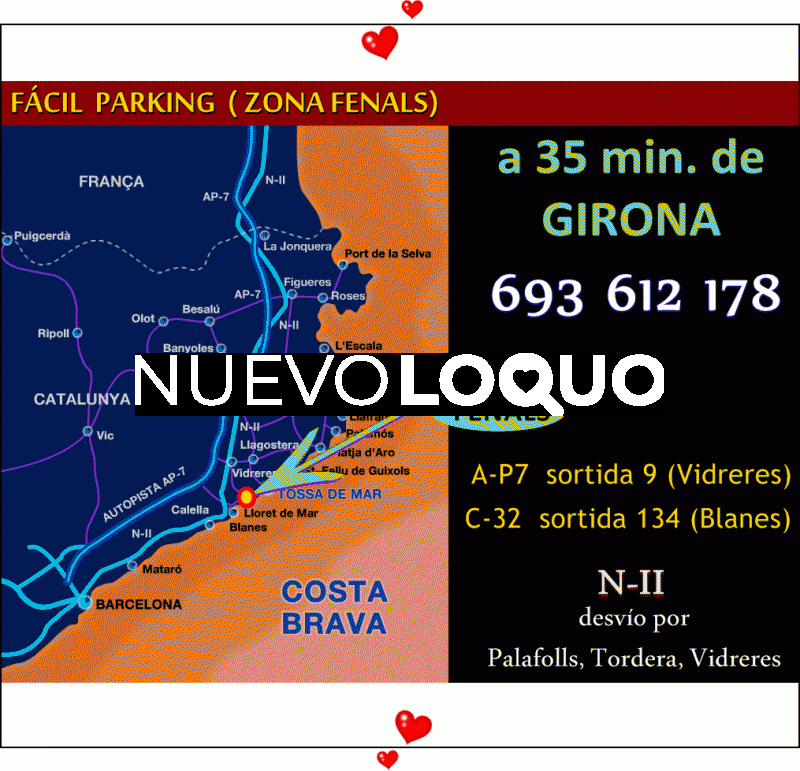 NuevoLoquo3