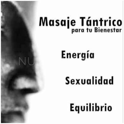NuevoLoquo2